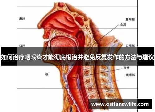 如何治疗咽喉炎才能彻底根治并避免反复发作的方法与建议