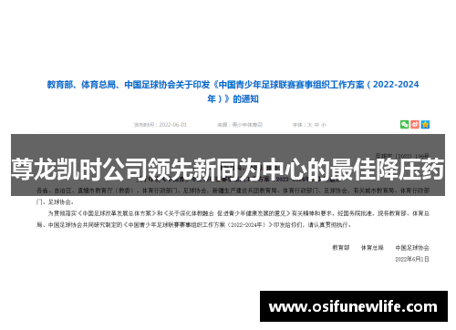 尊龙凯时公司领先新同为中心的最佳降压药