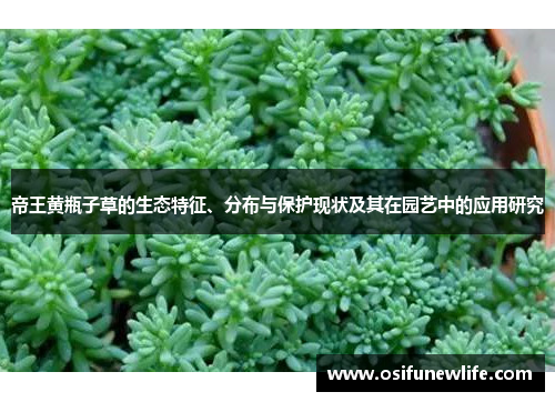 帝王黄瓶子草的生态特征、分布与保护现状及其在园艺中的应用研究